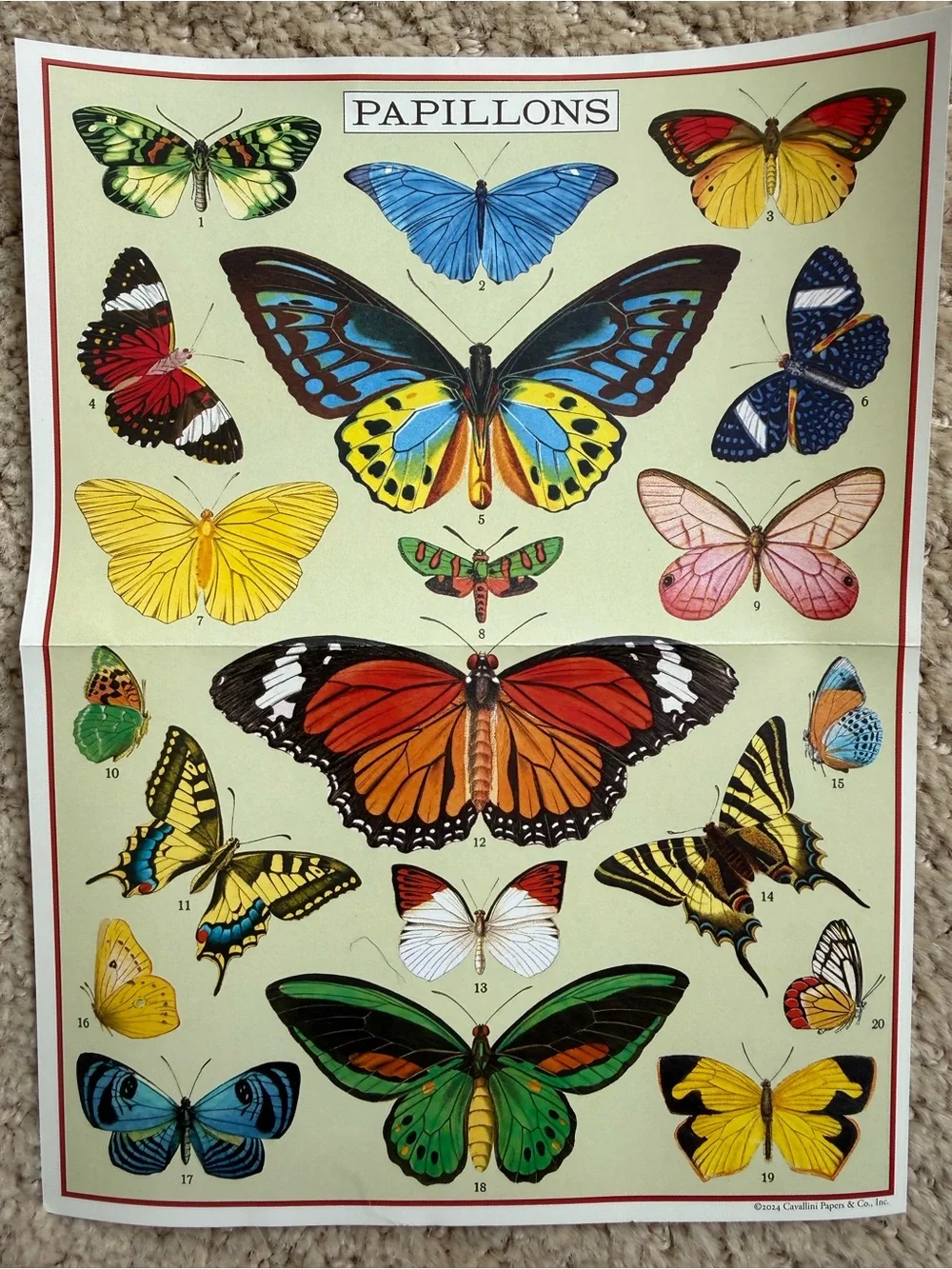 NIB Cavallini & Co. Butterflies Mini Puzzle 240 Pieces Vintage Style